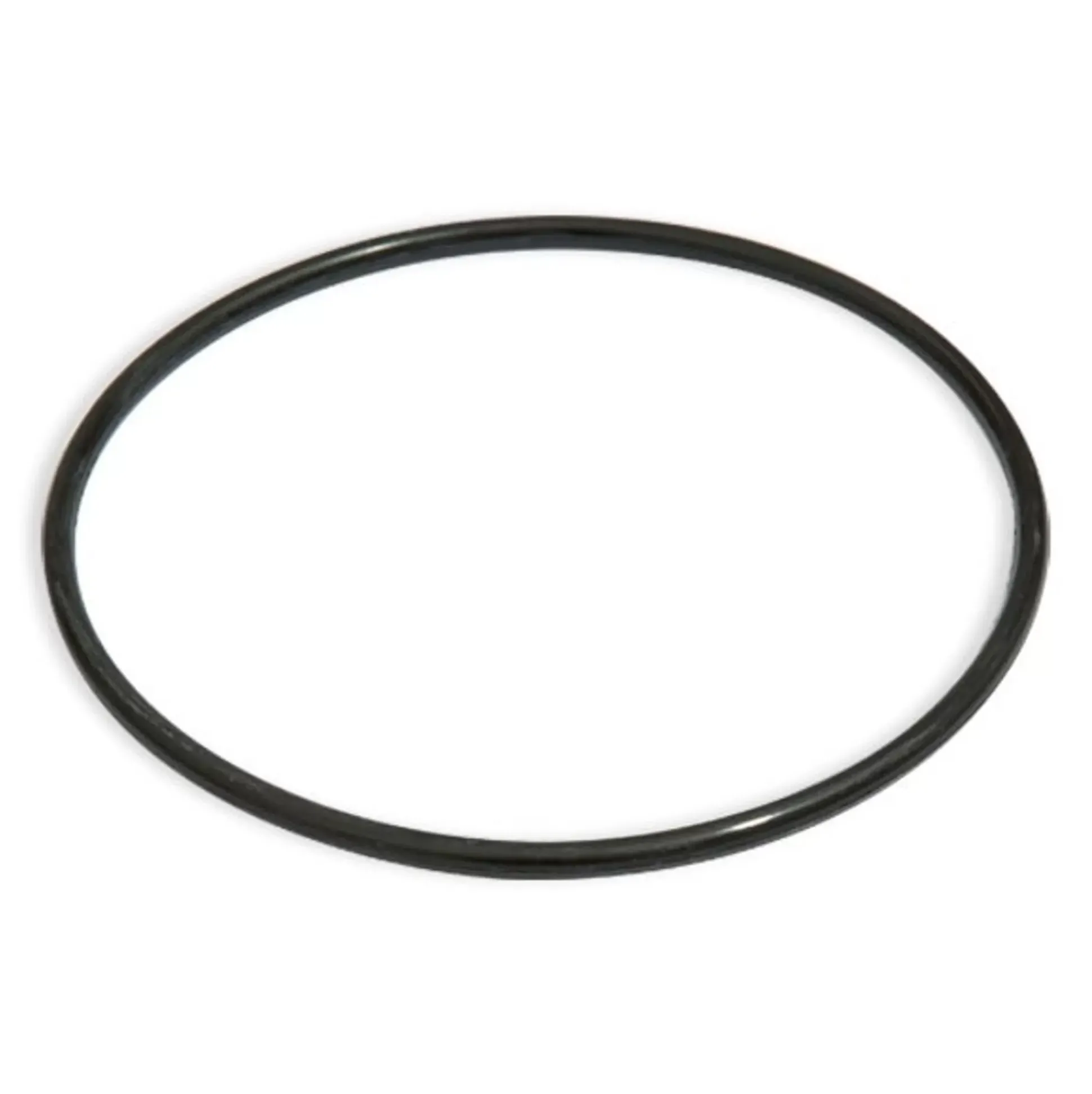 Bestway Filter Cap Seal For 2500Gal. Filter Pump Hot